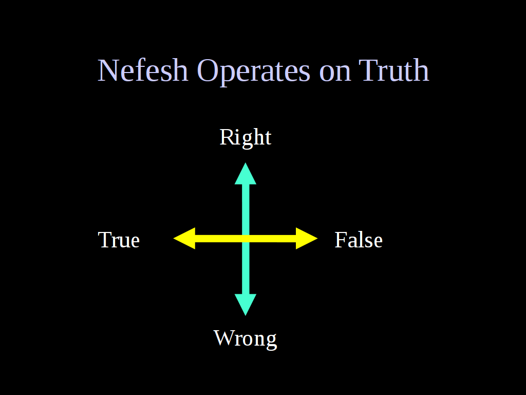 How the nefish evaluates behavior
